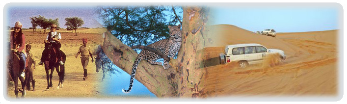 India Safari Tour Packages, India Safari Tour Guide, Indian Safari Tourism, Wildlife Safari Tour Packages, Desert Safari Tour